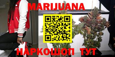 прущие крисы Будённовск