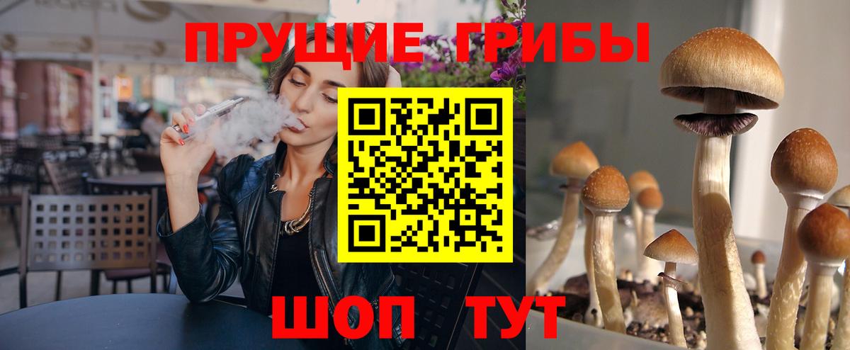 цены   Галлюциногенные грибы Psilocybine cubensis  Вход с VPN  Наро-Фоминск  Псилоцибиновые грибы прущие грибы 